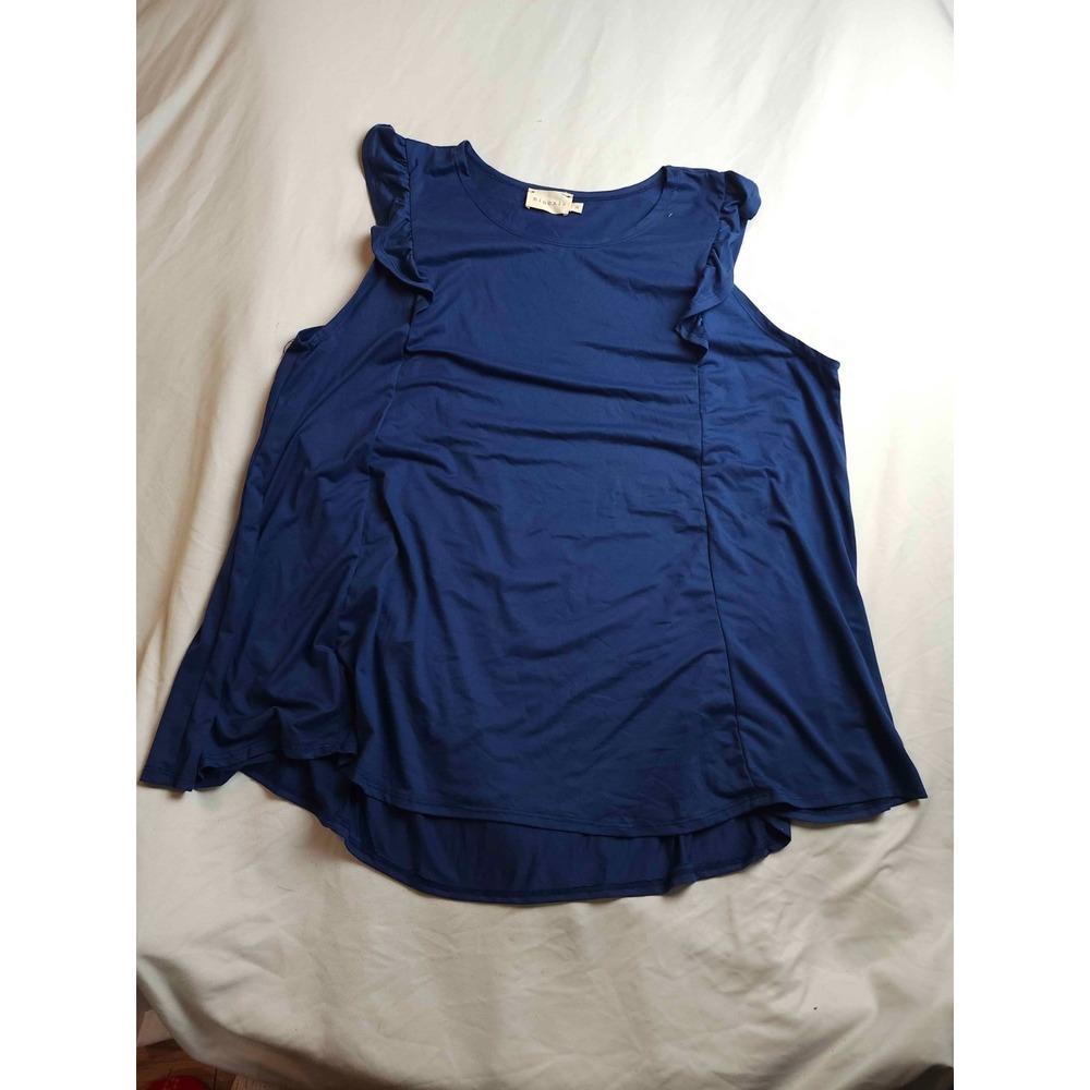 Ninexis Tunic Top Womens 3X Blue Stretch Boho Coastal Chic Quiet Luxury Ruffles